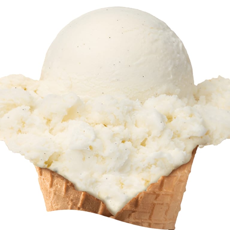 Vanilla Bean